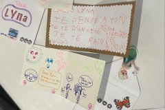 IMG-ECOLE-LYNA